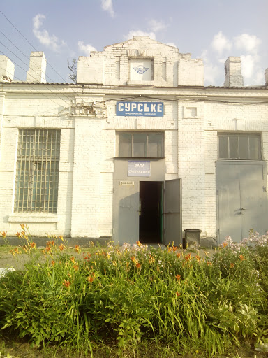 СУРСЬКЕ