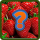 Download Best Fruits Quiz For PC Windows and Mac 3.2.8z