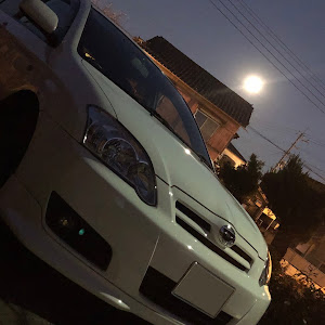カローラランクス ZZE123