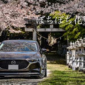 MAZDA3 BP8P