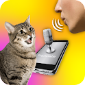 Icon Cat translator: Cat sounds App