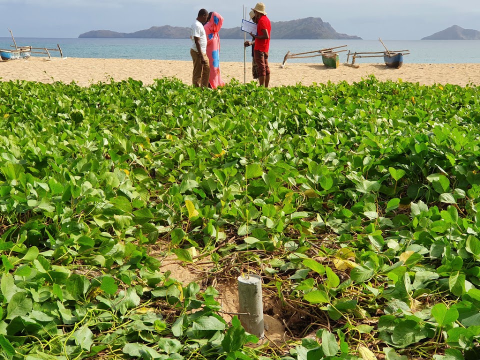 Installation of markers on beaches, Comoros, @N.Mirhani