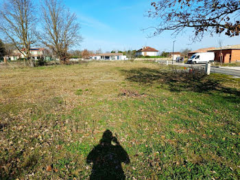 maison neuve à Muret (31)