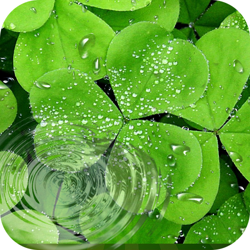 About Leaf Live Wallpaper 3D HD Background 2018 (Google Play