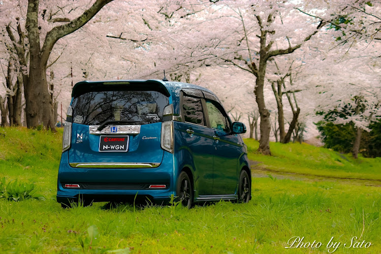 N-WGN カスタムのHONDA The Power of Dreams・桜とコラボ🌸・撮影練習中・・・。・いつかここで誰かとコラボしたーいに関するカスタム事例の投稿画像3枚目