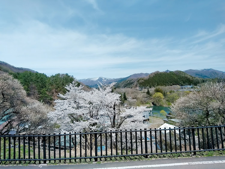 マーチのテニス合宿・最高すぎた( *´꒳`*)に関するカスタム事例の投稿画像3枚目