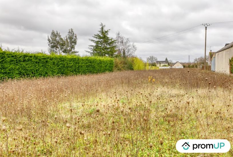  Vente Terrain à bâtir - 1 580m² à Cheverny (41700) 