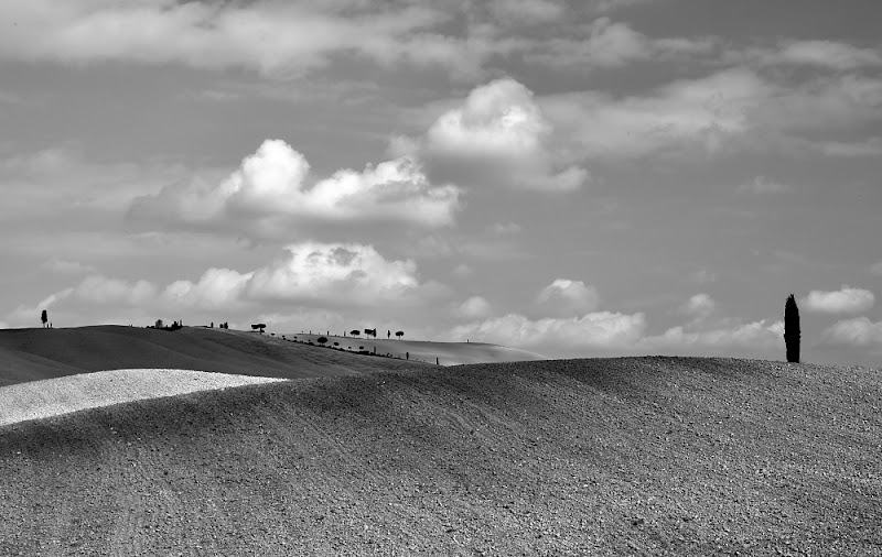 terre d'Orcia di utente cancellato