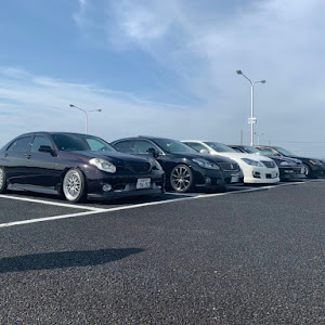 フーガ PY50