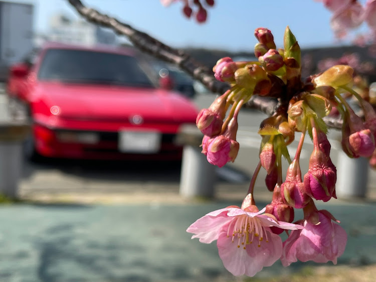 プレリュードのとみむさんが投稿したカスタム事例の投稿画像2枚目