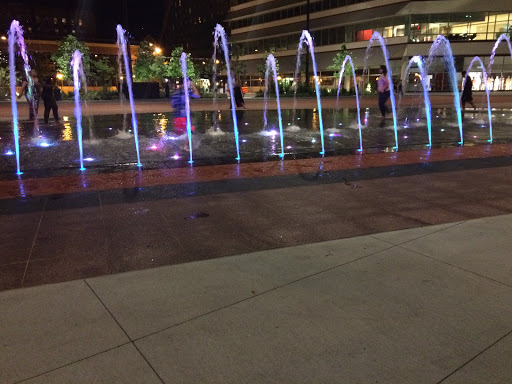 Cowles Commons Fountain of Wonder