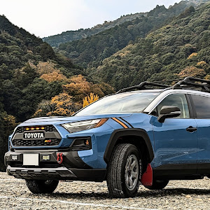 RAV4 AXAH54