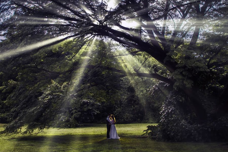 Fotógrafo de bodas Blass Lopez (blasslopez). Foto del 27 de enero 2020