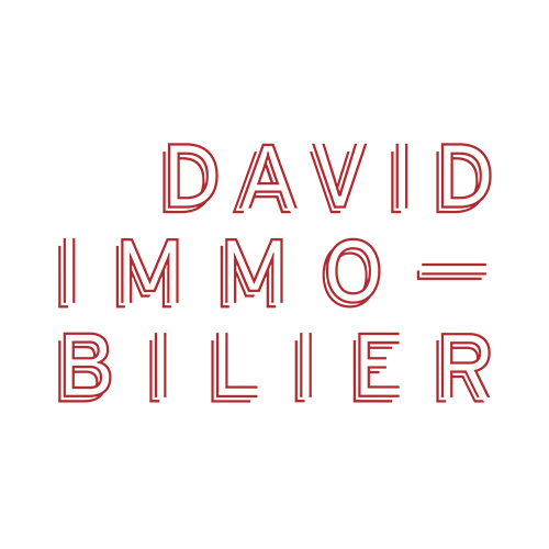 Logo de David Immobilier Paris 18 - Custine-Ramey