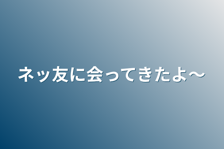 「ネッ友に会ってきたよ～」のメインビジュアル