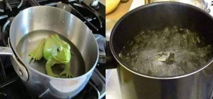 boiling frog