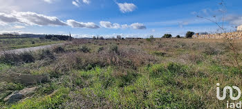 terrain à Bize-Minervois (11)