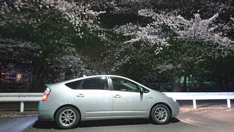 プリウスの夜桜・桜とコラボ・two-k魂・満開🌸・コスモAPに関するカスタム事例の投稿画像4枚目
