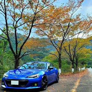 BRZ ZC6