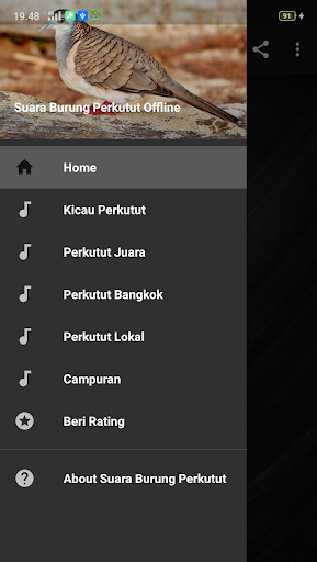 Suara Perkutut Lengkap Juara, Lokal, Bangkok