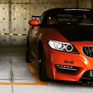 Z4 E89