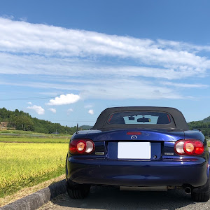 ロードスター NB8C