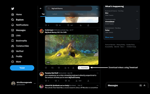 Twitter Video Saver - Tweeload