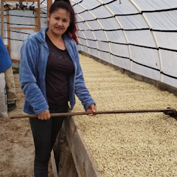 Emiliana Montoya - Honduras 300g
