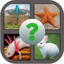 Baixar Guess the Animals Image Quiz Instalar Mais recente APK Downloader