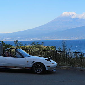 ロードスター NA8C