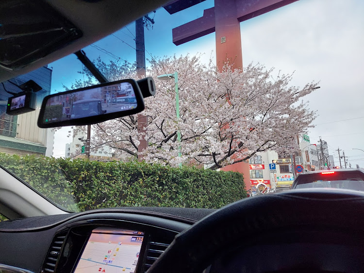 エルグランドのエルグランドE52・カーボンシート貼りに関するカスタム事例の投稿画像8枚目