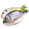 Fish Recipes icon