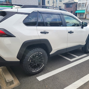 RAV4 MXAA54