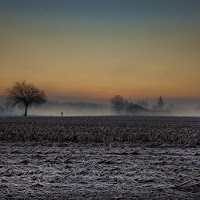 Nebbia mattutina di 