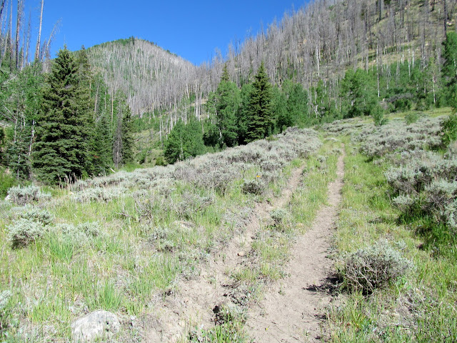 Old road in Flood Canyon