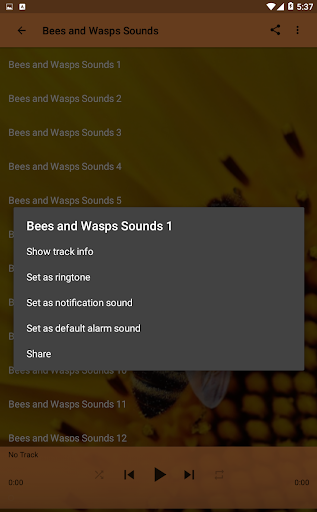 Bees and Wasps Sounds