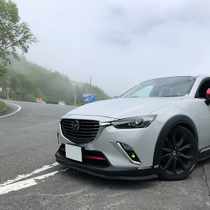 CX-3 DK5FW