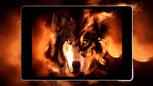 Black Wolf Wallpaper HD