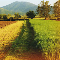 vivere in campagna. di 