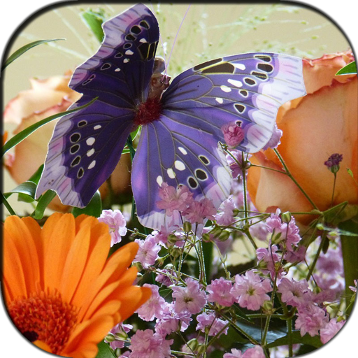 Butterfly Flowers Puzzle