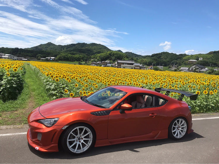 86のひまわりに関するカスタム事例の投稿画像3枚目
