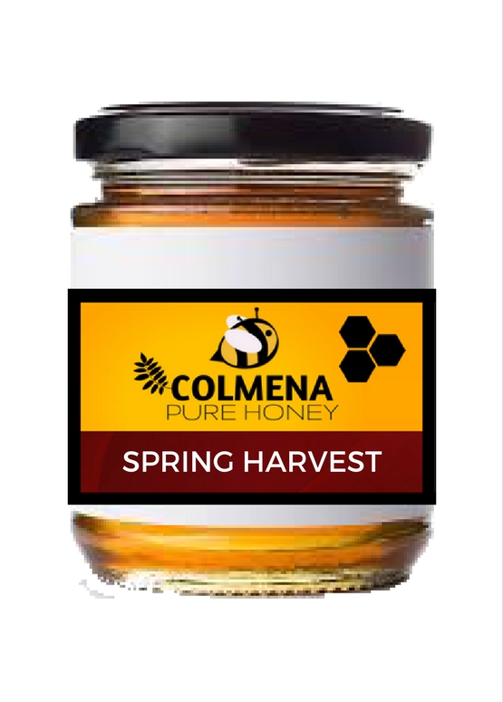 spring harvest