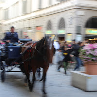 Come è delizioso andar con la carrozzella