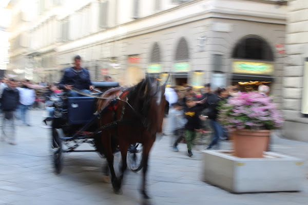 Come è delizioso andar con la carrozzella