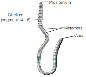 Solution Image