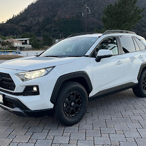 RAV4 MXAA54