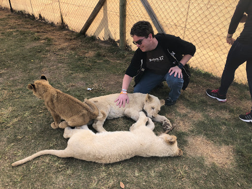 New & Improved Lions Park South Africa 2018