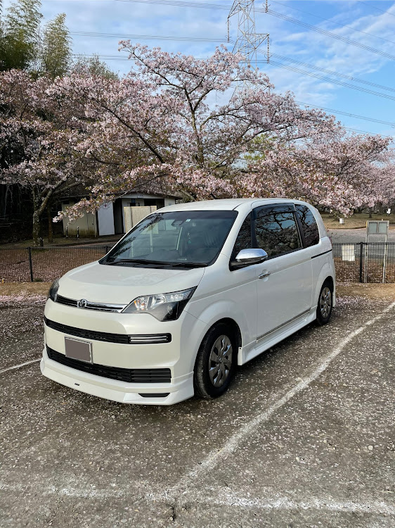 スペイドの桜と愛車・桜とコラボ・桜・スペイドに関するカスタム事例の投稿画像1枚目