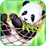 Cover Image of Unduh Panda Wallpaper 2.0 APK