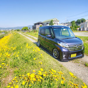 デイズルークス